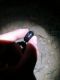 IMG-20230623-WA0047.jpg