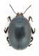 Comb3960rc-18L6.jpg