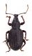Comb3970rc-22L6.jpg