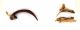 Comb3974cr-14L6.jpg