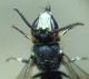 DSC01053.JPG