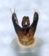 DSC01047.JPG