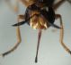 DSC01079.JPG
