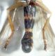 DSC01086.JPG