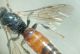 DSC01094.JPG