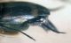 DSC01103.JPG