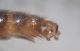 DSC01140.JPG