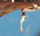 DSC01231.JPG