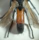 DSC01256.JPG