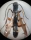 DSC01365.JPG