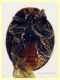 Cryptolaemus montrouzieri - 2,1 mm. e 4 mm. - Anzio Tor Caldara 7.9.2023 - (4).JPG