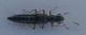 PA120062.JPG