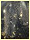 tibia posteriore (22).JPG