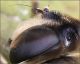 Dittero-sp-20231017-009-OW.jpg