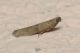 DSCN9503.JPG