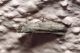 DSCN9507.JPG
