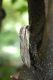 tn_DSC_8886.JPG