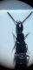 Screenshot_20231106-173602_Gallery.jpg