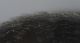 Experiment-1682-Extended Depth of Focus-03.jpg