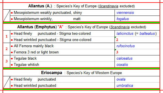 ALLANTUS (A.), A. (Emphytus) ''A'' &  Eriocampa - Clés des espèces au 23.11.20 - Image - Forum fait (pars) - clé vérifiée.jpg