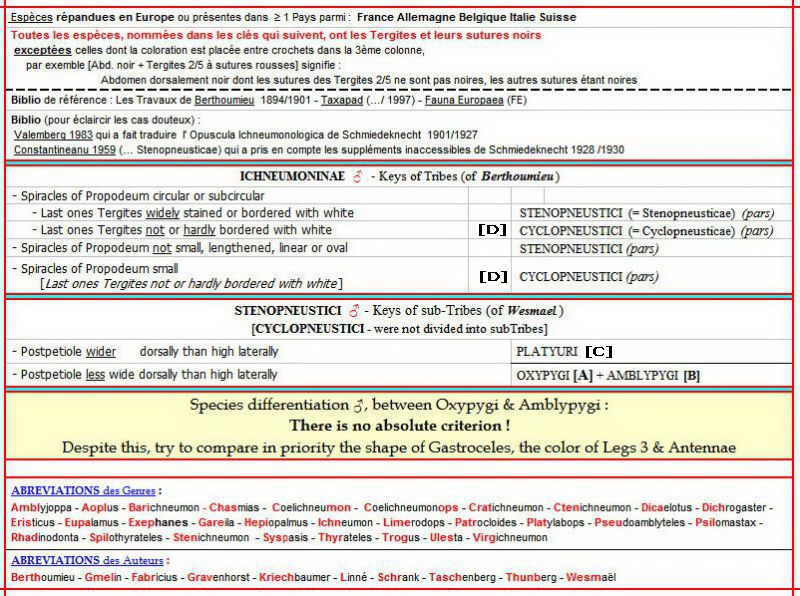 Introduction + Stenopneustici.jpg