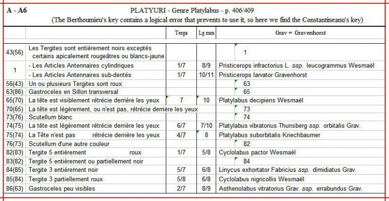 2 - PLATYURI - A-A6 - Platylabus - Complet.jpg