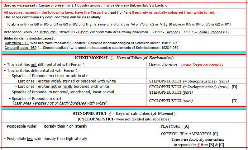 1 - OXYPYGI + AMBLYPYGI - Introduction + Stenopneustici.jpg