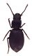 Comb4073-35L6cr.jpg