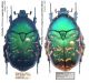 Protaetia (Netocia) ungarica ssp..jpg