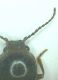 IMG20240226164316.jpg