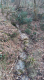 pietramora TORRENTE CATARRO SCHIFOSO.png