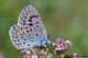 DSC_7214.jpg