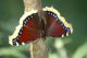 tn_DSC_9076.JPG