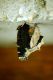 tn_DSC_9091.JPG