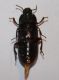 Copia di IMG_7375.jpg