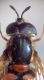 DSC02215.JPG