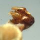 DSC02313.JPG