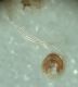 DSC02357.JPG