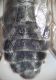 DSC02409.JPG