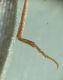 DSC02481.JPG