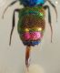 DSC02545.JPG