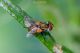 DSC_1820-2.jpg