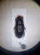 Screenshot_20240725-222139_Gallery.jpg