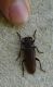 DSC07113.JPG