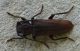 DSC07119.JPG
