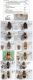 zzzzzz - Volucella Européennes - Clé + Images - Rectifiés sans Balmer.jpg