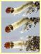 astuccio Tineidae 5 mm. - 10.8.2024 - (20).JPG