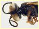 5 mm. piattino giallo (14).JPG