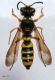 DSC03156.JPG