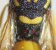 DSC03166.JPG